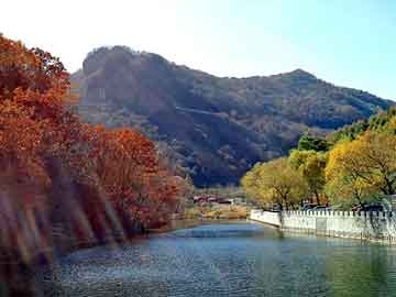 新澳天天开奖资料大全旅游团，节能燃料